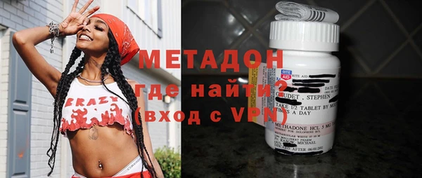 индика Горняк