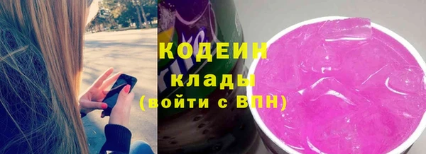 индика Горняк