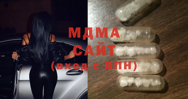 индика Горняк