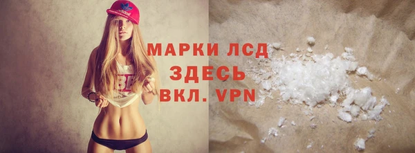 индика Горняк