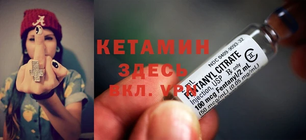 индика Горняк