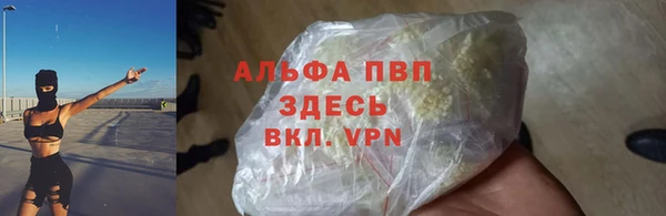 индика Горняк