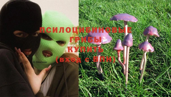 индика Горняк