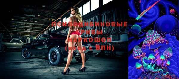 дмт Горнозаводск