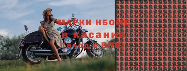 индика Горняк