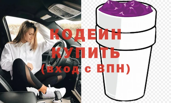 индика Горняк