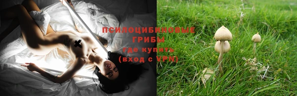 дмт Горнозаводск