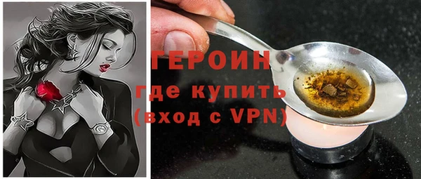 индика Горняк