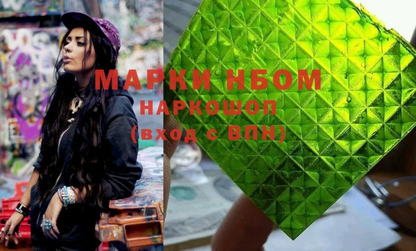индика Горняк