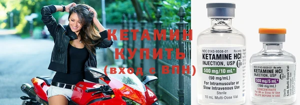 индика Горняк