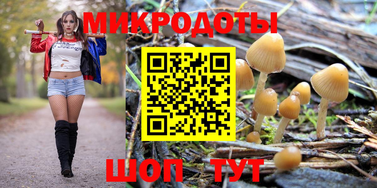 Галлюциногенные грибы Psilocybine cubensis  Галлюциногенные грибы Psilocybine cubensis  Назарово 