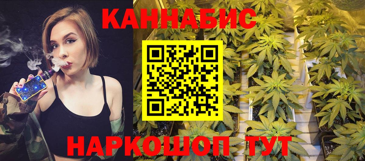 Марихуана план Назарово